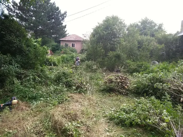 Време е да спасите двора си от мръсотията