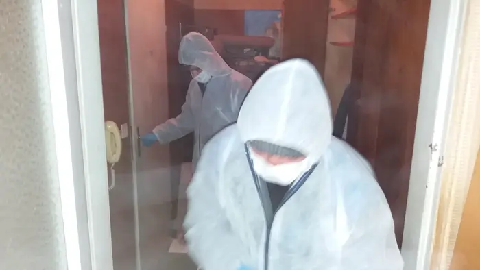 Дезинфекция след котки – професионална грижа за дома