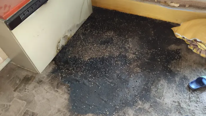 Обезопасяване на средата след смъртен случай у дома