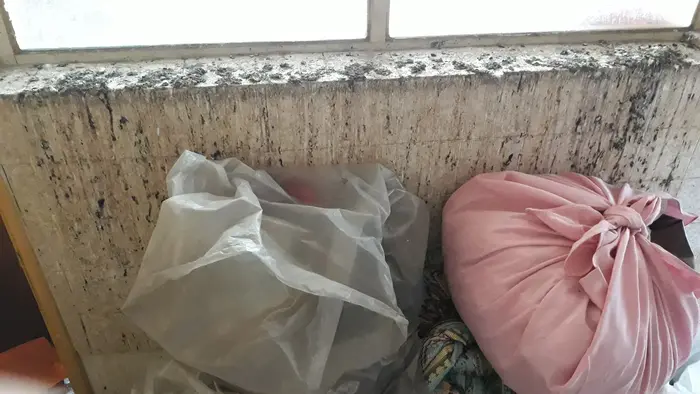 Сравнение на методите за отблъскване на гълъби