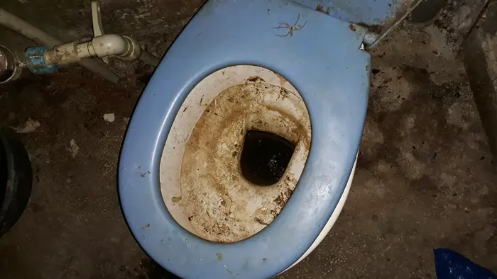 Почистване и дезинфекция при наличие на екскременти