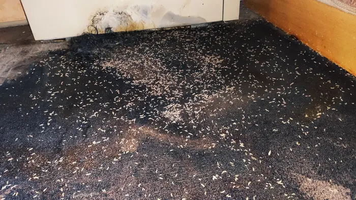 Препарати с болнично ниво на дезинфекция след смърт