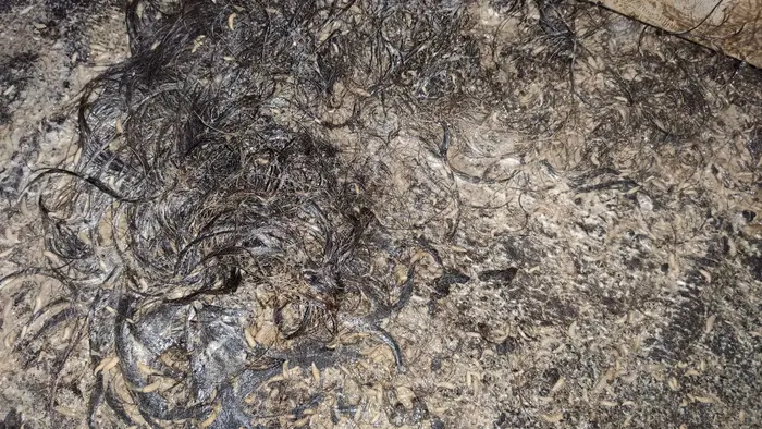 Минимизиране на рисковете при почистване след труп